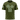 47th Problem of Euclid Masonic T-Shirt in Military Green